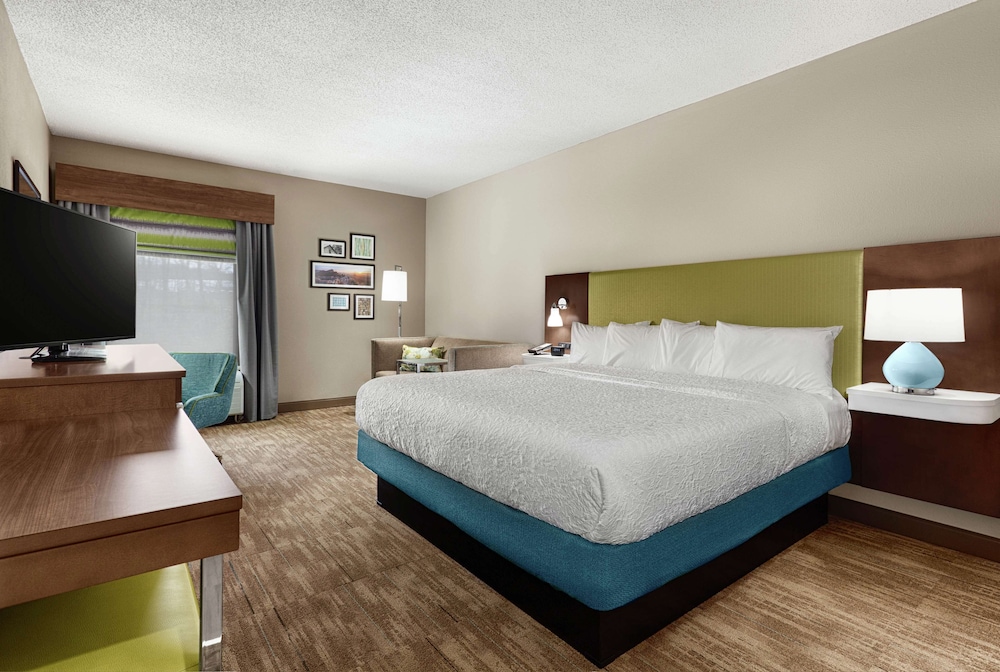 Room, 1 King Bed, Accessible, Bathtub - Photo 1