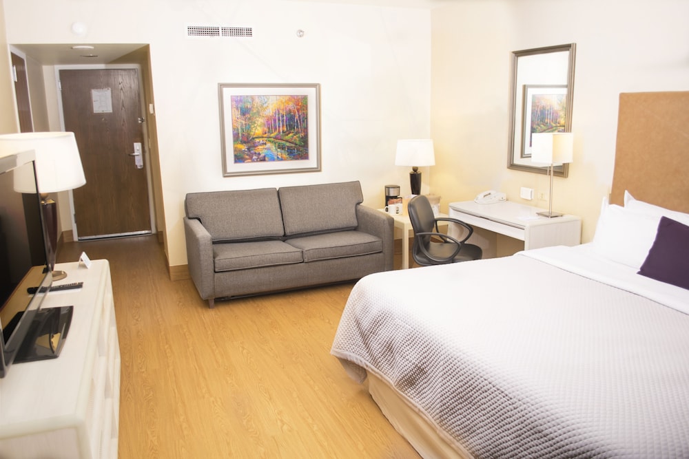 Deluxe Room - Photo 1