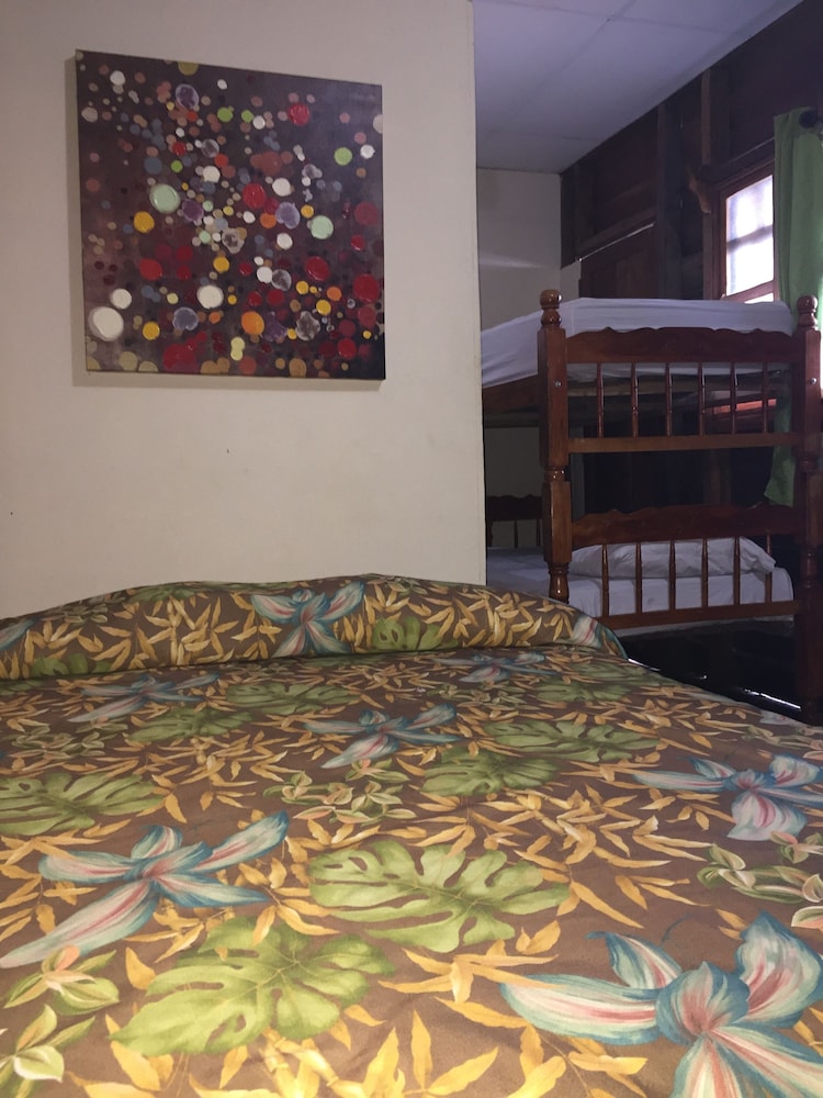 Shared Dormitory, Multiple Beds photo 3