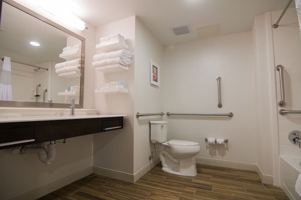 Studio, 1 King Bed, Accessible, Non Smoking (Roll-in Shower)