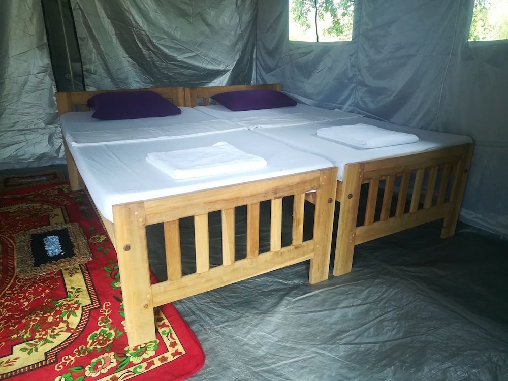 Premier Tent, 1 Bedroom (with Safari) photo 3