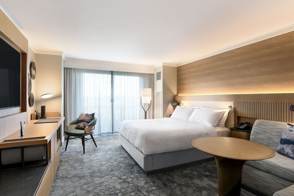 Room, 1 King Bed with Sofa bed