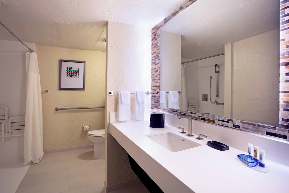 Suite, 1 King Bed with Sofa bed (Mobility Accessible, Roll-In Shower)
