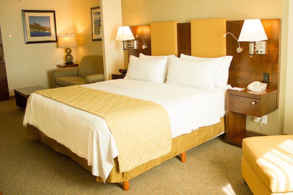 Standard Room, 1 King Bed photo 2