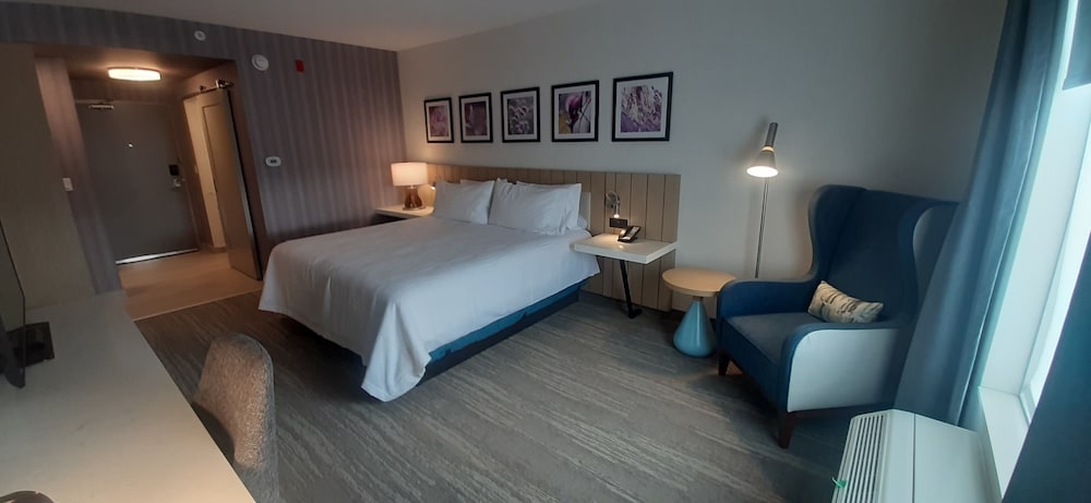 Room, 1 King Bed, Accessible, Bathtub (Hearing) - Photo 1