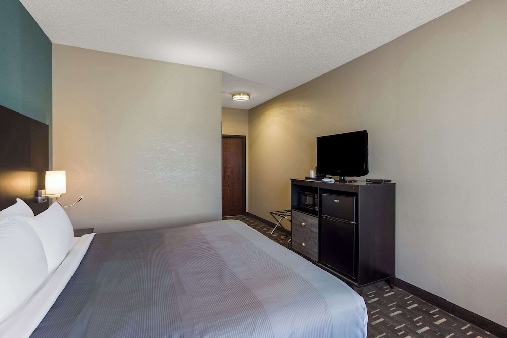 Room, 1 King Bed, Accessible photo 3