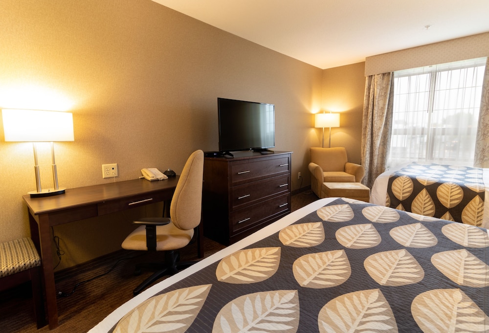 Double Room, 2 Queen Beds photo 3