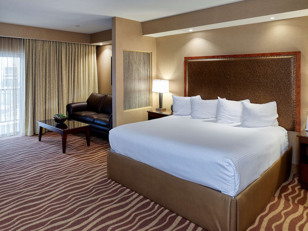 Deluxe Suite, 1 King Bed, Non Smoking, Refrigerator & Microwave (Shower Only;With Sofabed) photo 3