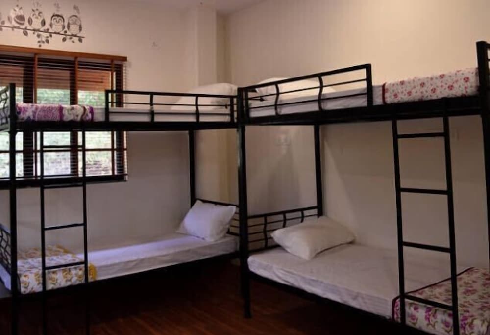 Economy Room, Multiple Beds, Non Smoking photo 1