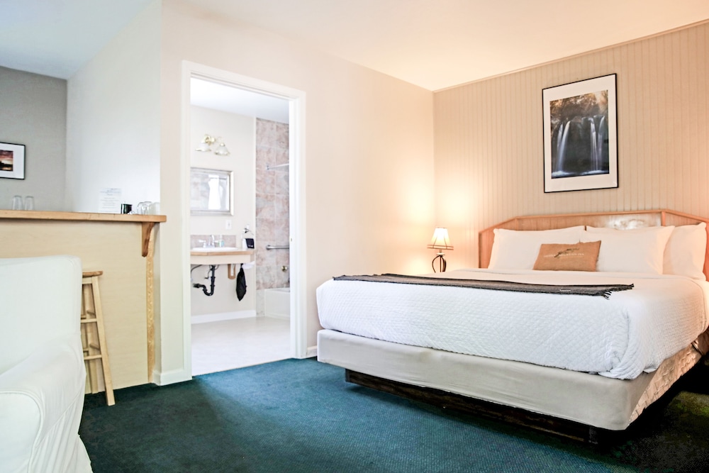Deluxe Suite, 1 King Bed, Kitchenette photo 2