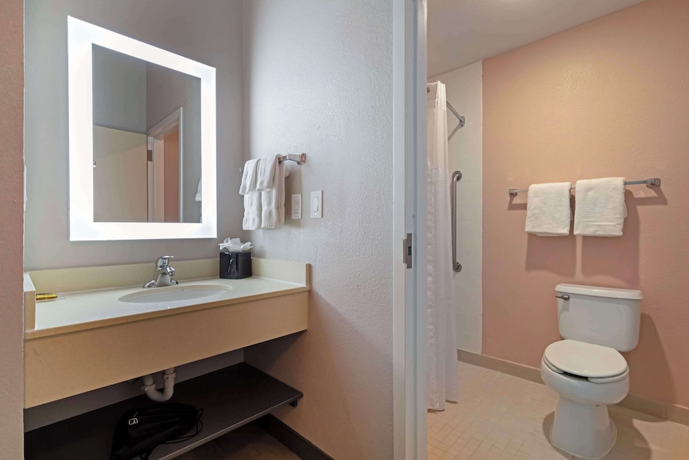 Standard Room, 1 King Bed, Accessible, Refrigerator & Microwave photo 3