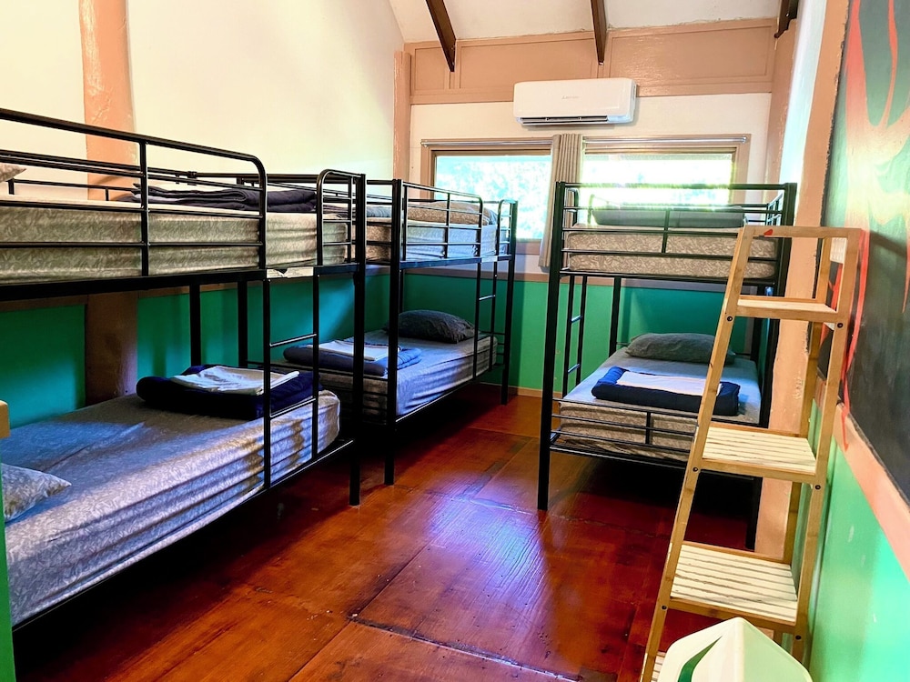 Comfort Shared Dormitory photo 1