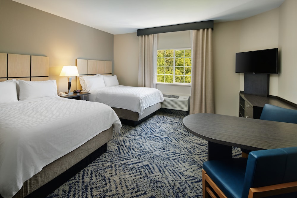 Studio Suite, 2 Double Beds - Photo 1