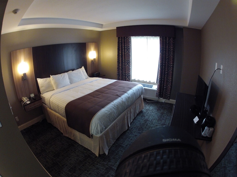 Deluxe Room, 1 King Bed photo 3