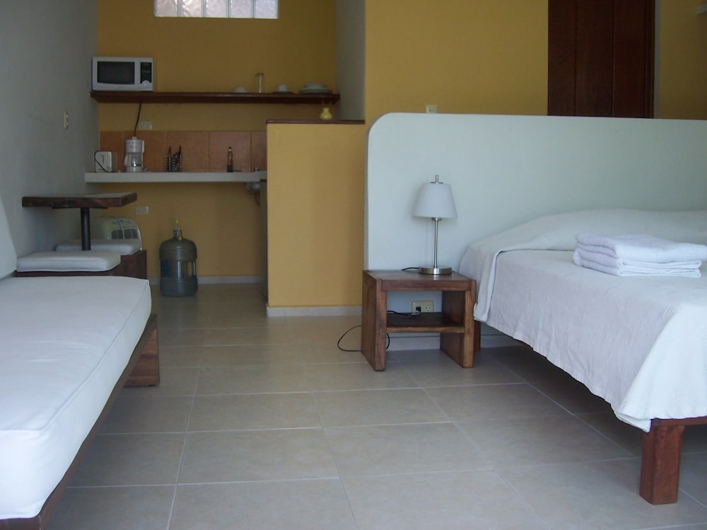Studio Suite, 1 King Bed photo 3