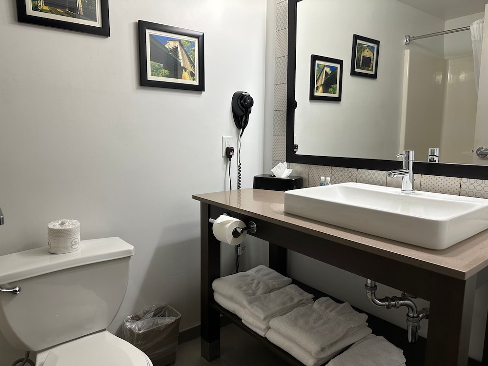Business Room, 1 King Bed, Accessible, Non Smoking - Photo 10