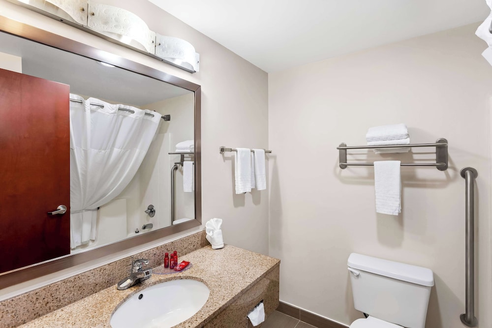 Standard Room, 1 King Bed, Non Smoking, Jetted Tub (with Sofabed) - Photo 4
