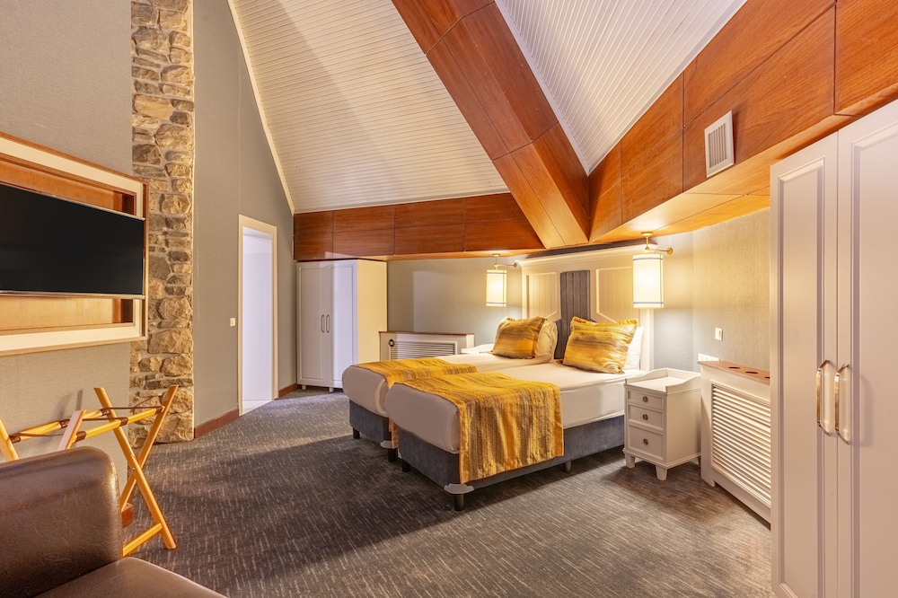 Presidential Room, 1 Bedroom photo 3