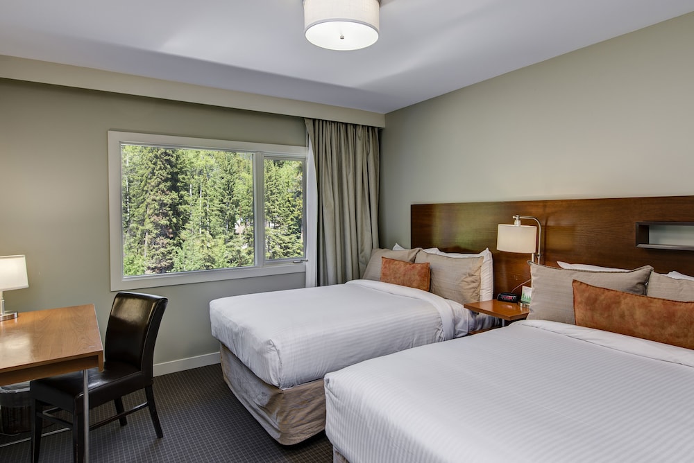 Panoramic Suite - Photo 9