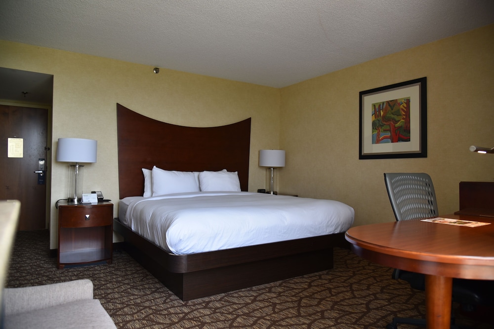Room, 1 King Bed, Accessible, Refrigerator - Photo 1