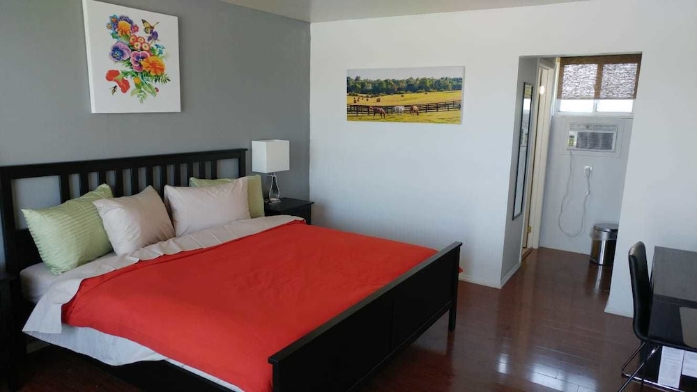 Standard Room, 1 King Bed, Non Smoking photo 1