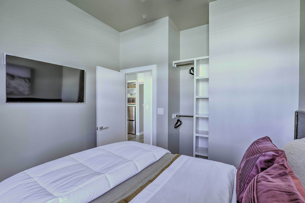 Apartment (1 Bedroom) photo 3