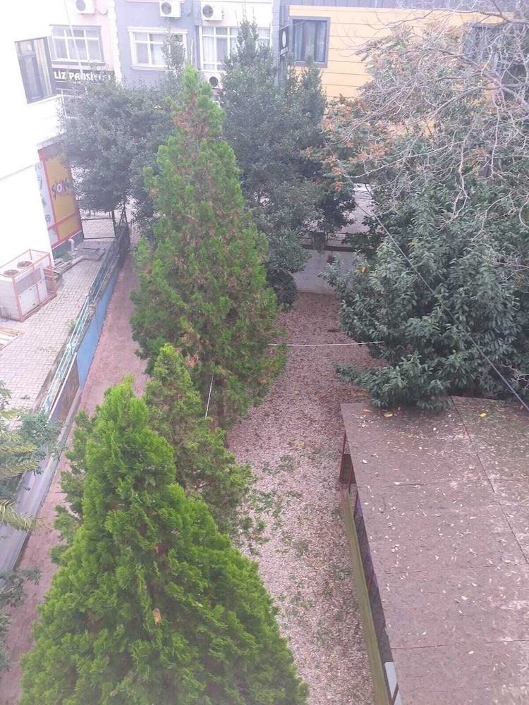 Classic Quadruple Room, Non Smoking, Garden View photo 3