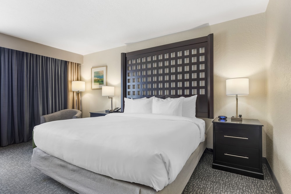 Standard Room, 1 King Bed, Non Smoking - Photo 4