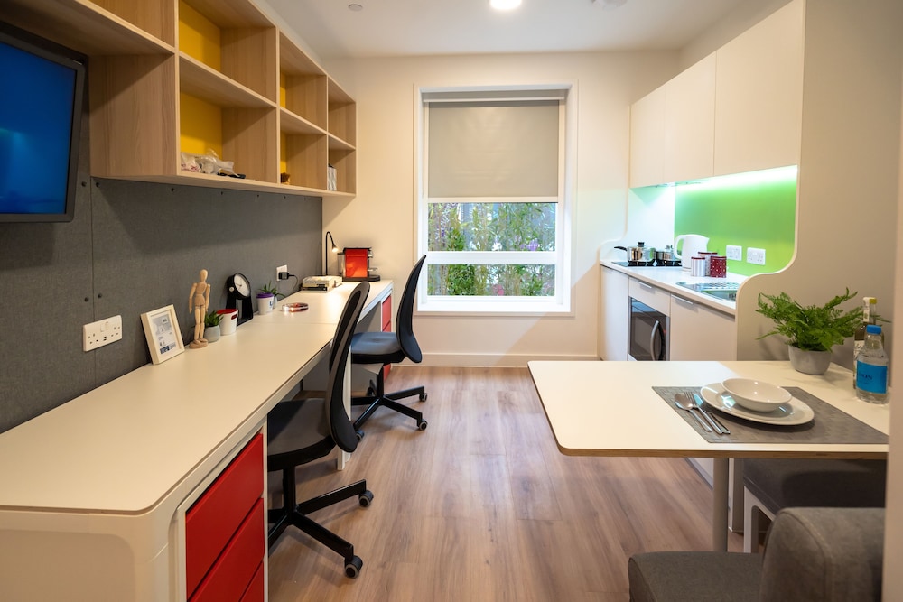 Luxury Studio Suite photo 2