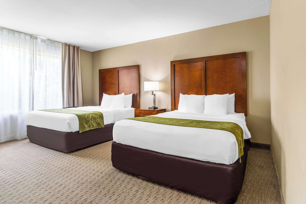 Suite, Multiple Beds, Accessible, Non Smoking - Photo 2
