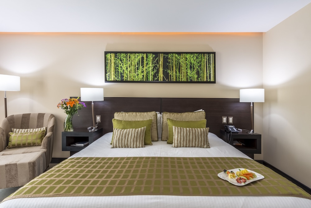 Standard Studio with King Bed - Photo 11