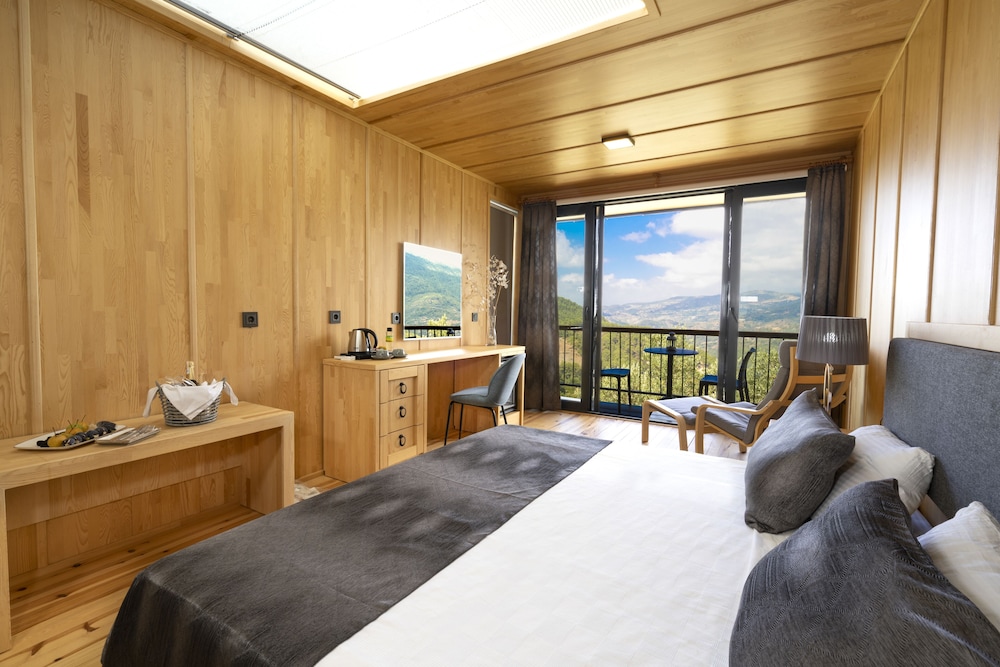 Deluxe Room - Photo 5