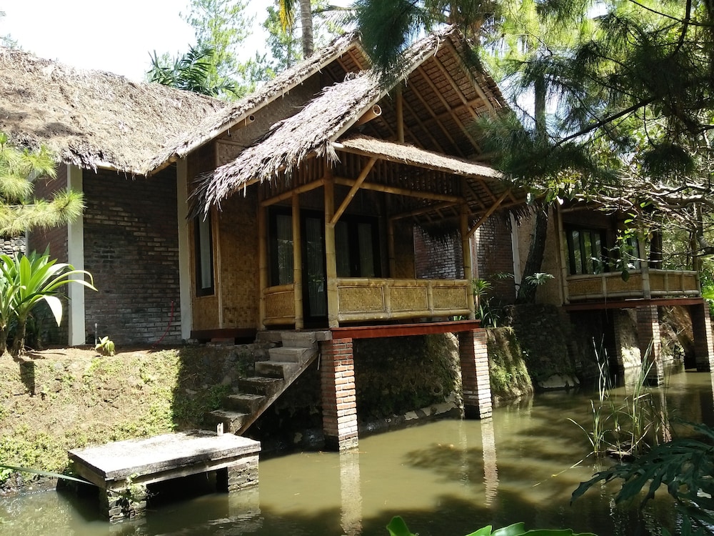 Bungalow Deluxe Lantana photo 2