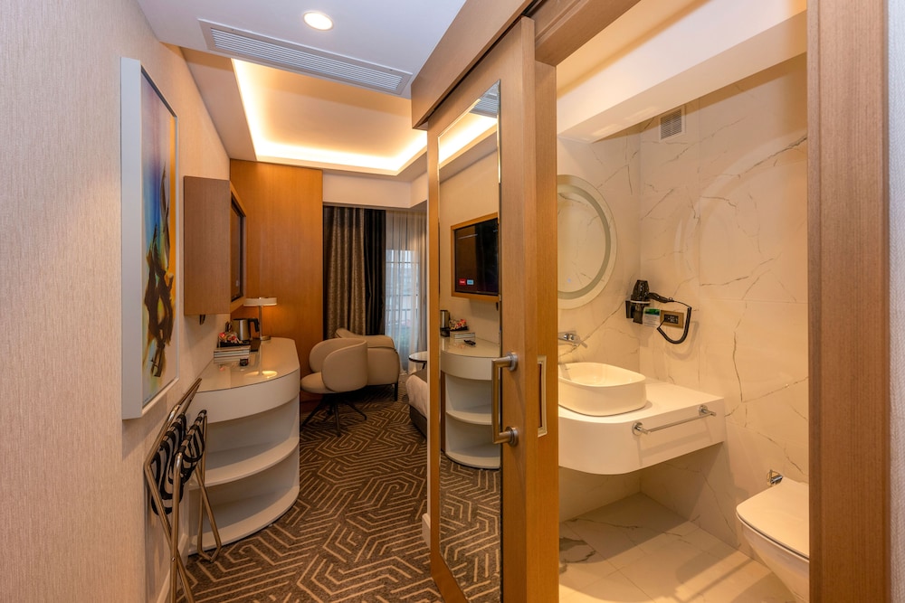 Deluxe Double Room photo 2