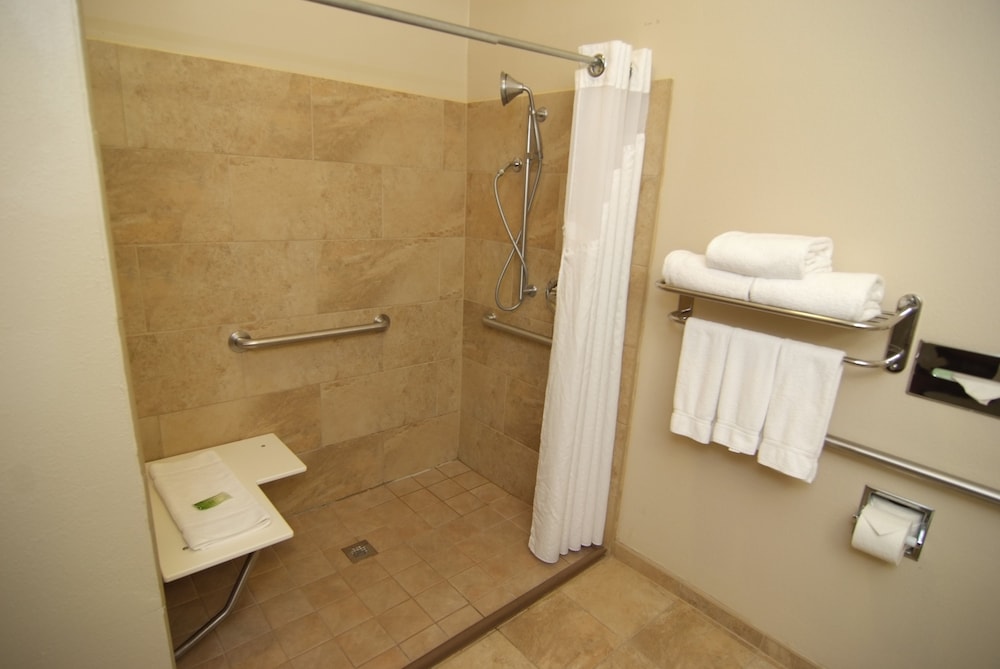 Standard Room, 1 King Bed with Sofa bed, Accessible (Mobility, Accessible Tub) - Photo 4