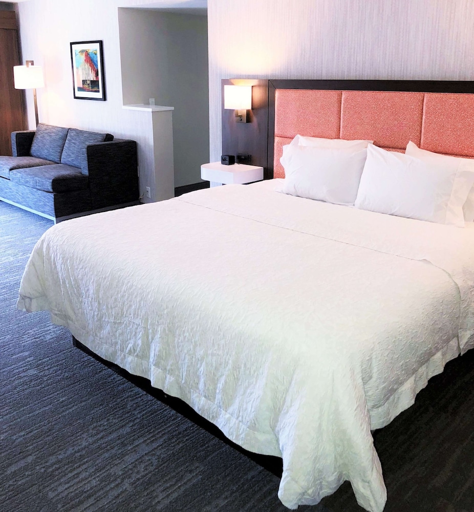 Suite, 1 King Bed, Non Smoking photo 2