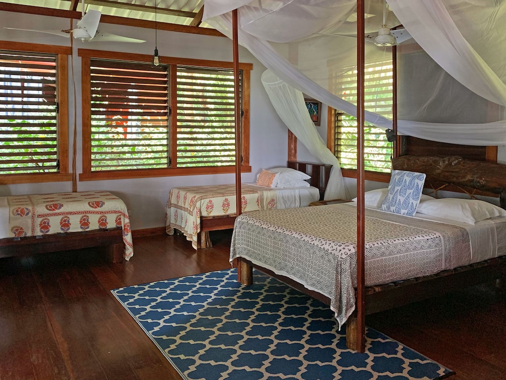 Premium Cabin photo 3