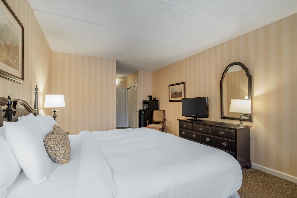 Room - Photo 3
