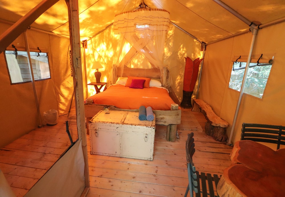Traditional Tent, 1 Queen Bed, Patio photo 3