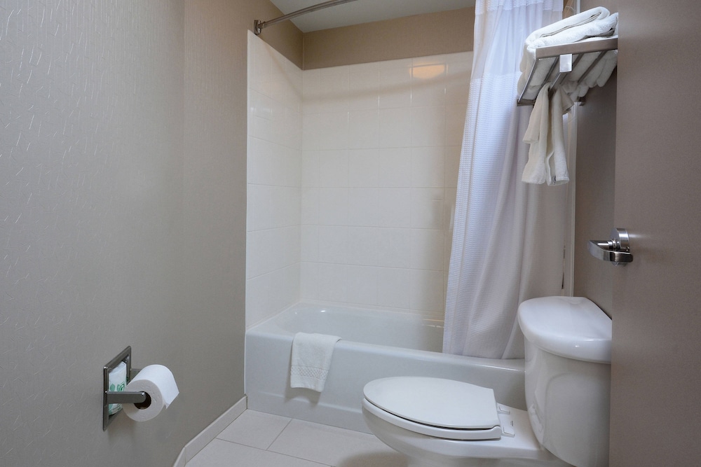 Studio, Multiple Beds (Hearing Accessible) photo 3