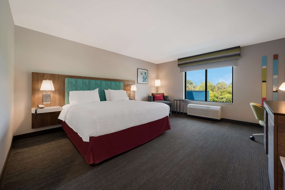 Room, 1 King Bed, Accessible (Roll-In Shower) - Photo 4