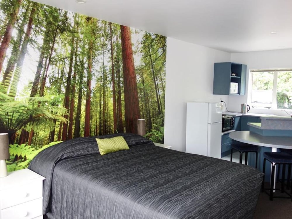 One Bedroom Queen Unit photo 3