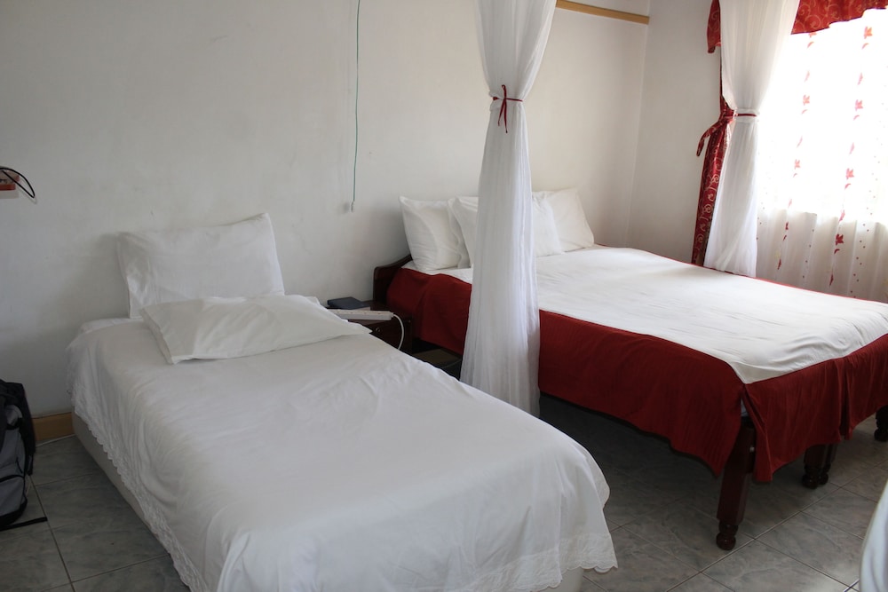 Comfort Twin Room photo 1