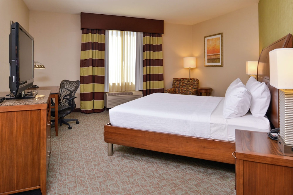 Room, 1 King Bed, Accessible - Photo 3