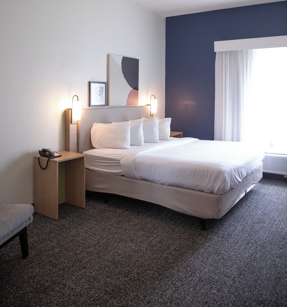 Room, 1 King Bed, Accessible (Mobility & Hearing, Roll-in Shower) - Photo 3