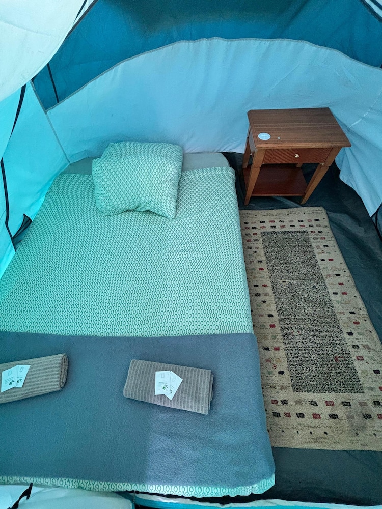 Tent P30
