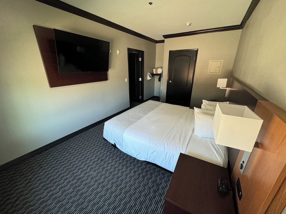 Luxury Suite, 1 King Bed, Non Smoking photo 1