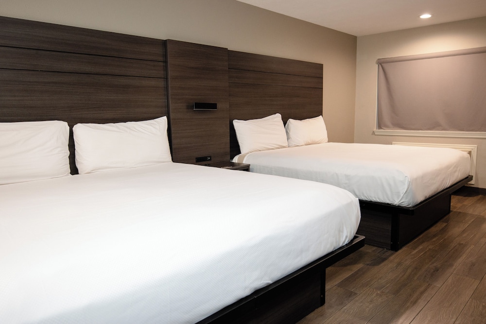 Deluxe Suite, Non Smoking (2 King Beds) photo 3