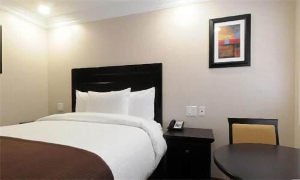 1 Double 1 Twin Bed Non-Smoking photo 3