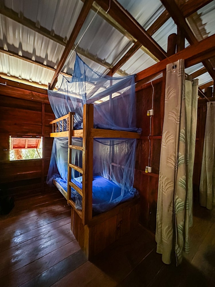 Premium Dormitory (Mini room 2 beds) photo 1